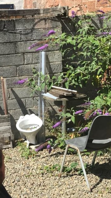 Screenshot_20180809-205952_Gallery